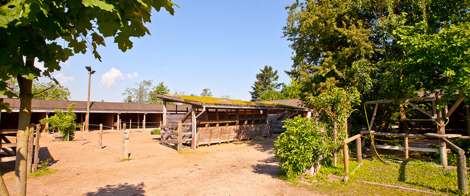 Eindrücke vom Jugendreiterhof